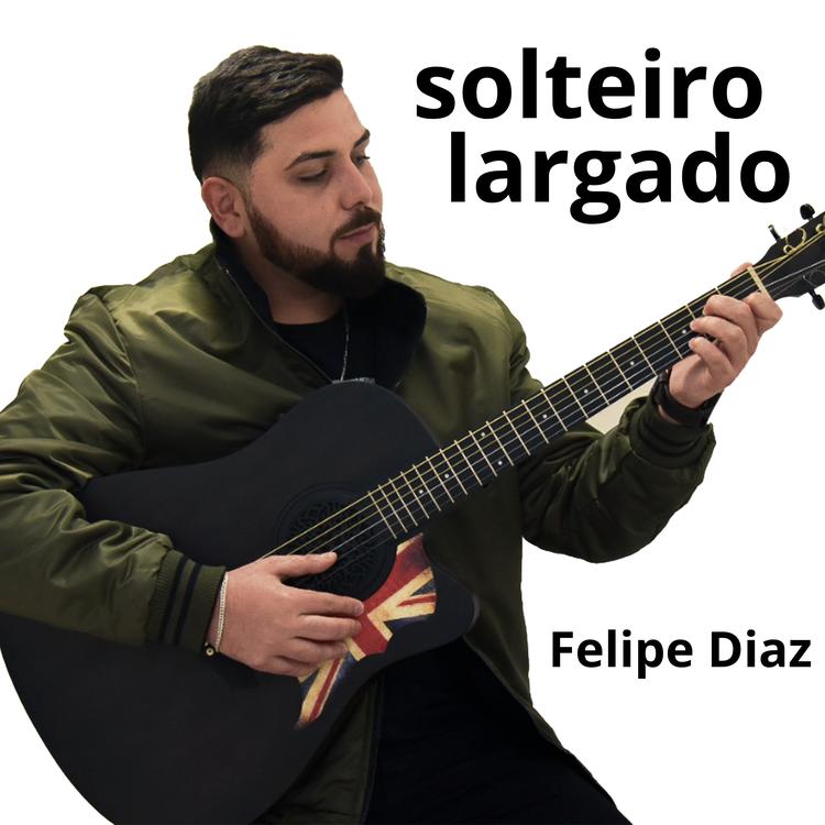 Felipe Díaz's avatar image