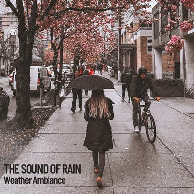 Springtime Rain By Relaxing Spa Music, Factorial FX, Weather and Nature Recordings's cover