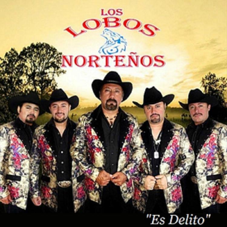 Los Lobos Nortenos's avatar image