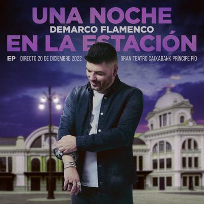 Una Noche en la Estación (En directo Music Station)'s cover