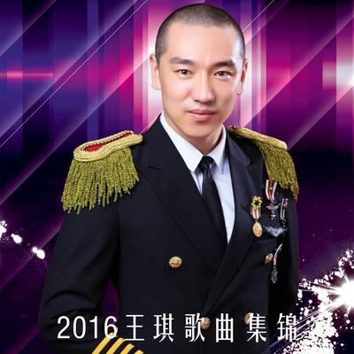 2016王琪歌曲集锦's cover