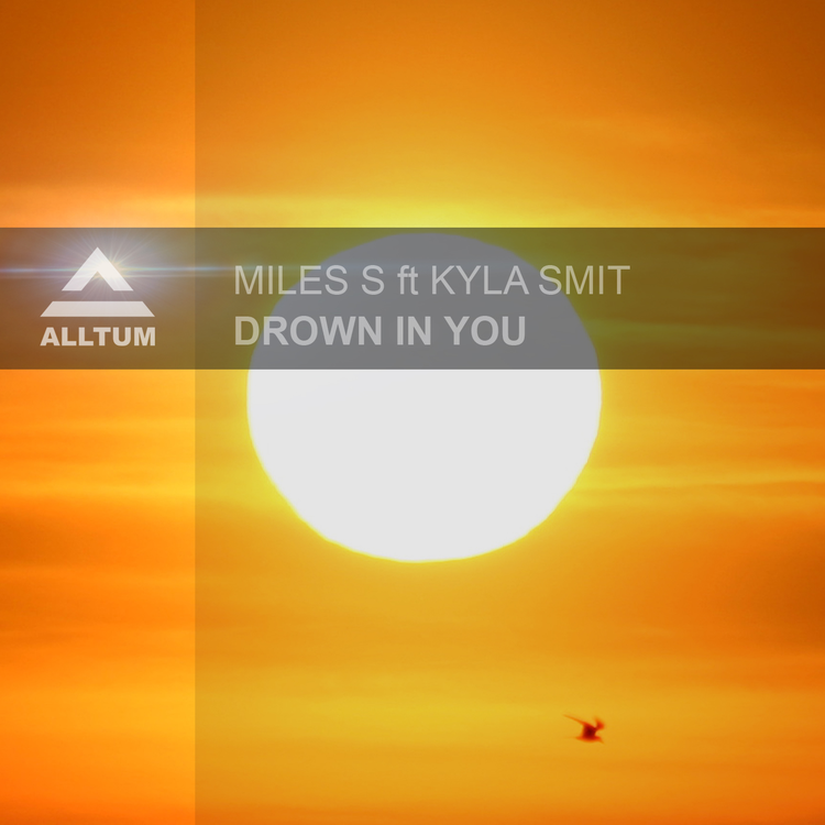 Miles S's avatar image