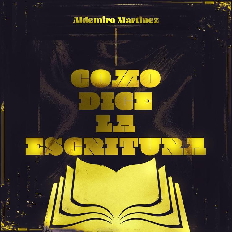 Aldemiro Martinez's avatar image