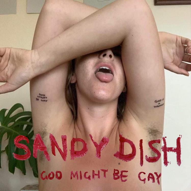 Sandy Dish's avatar image