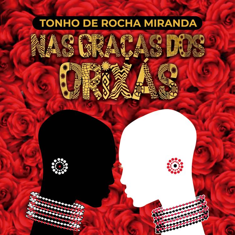 Tonho De Rocha Miranda's avatar image
