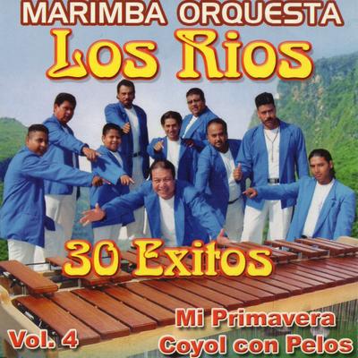 Marimba Orquesta Los Rios's cover