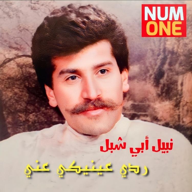 Nabil Abi Shebel's avatar image