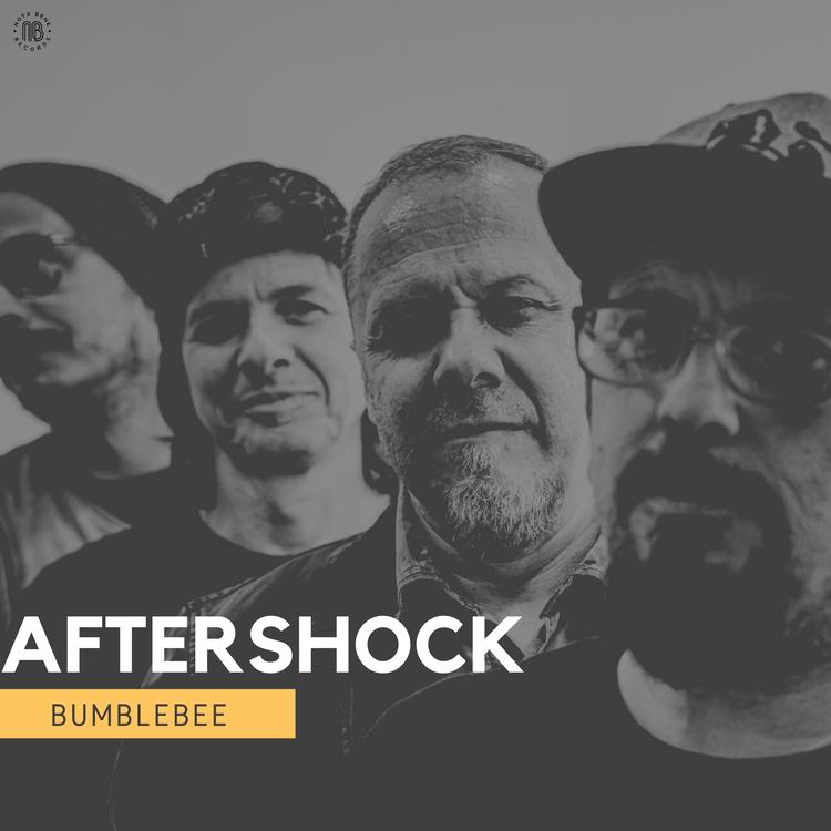 Aftershock's avatar image