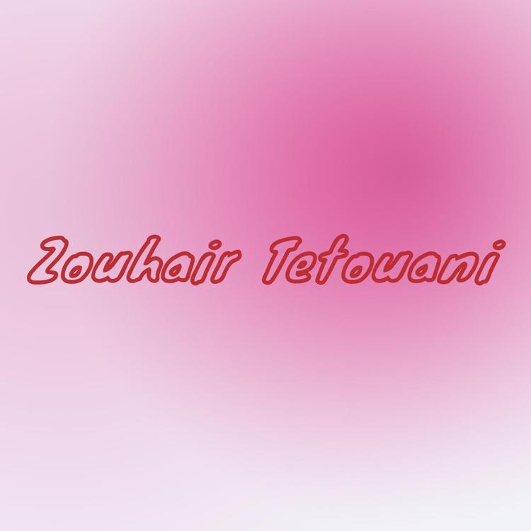 Zouhair Tetouani's avatar image