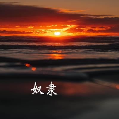 奴隶's cover