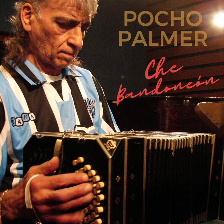 Pocho Palmer's avatar image