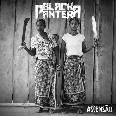 Padrão É o Caralho By Black Pantera's cover