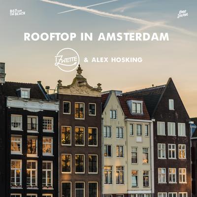 Rooftop in Amsterdam's cover