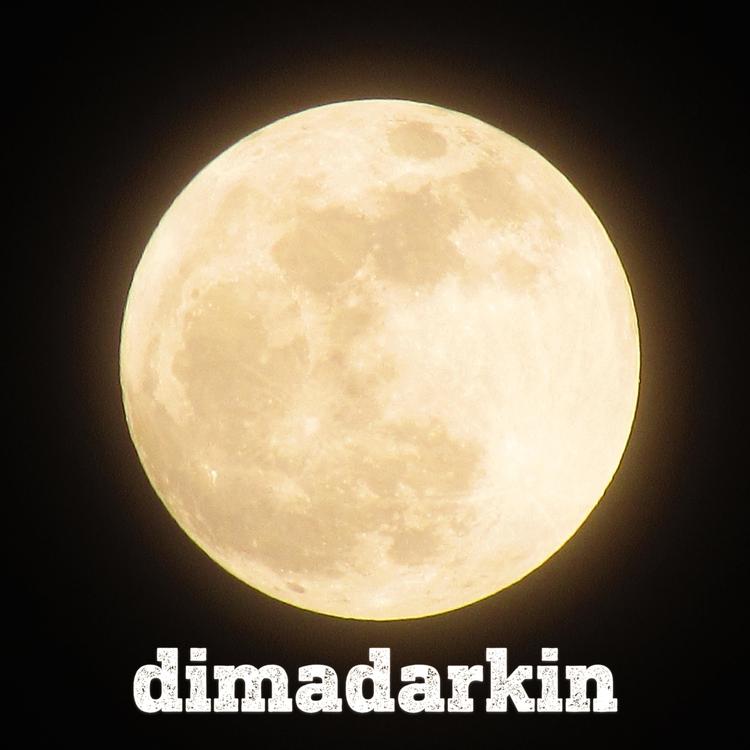 dimadarkin's avatar image
