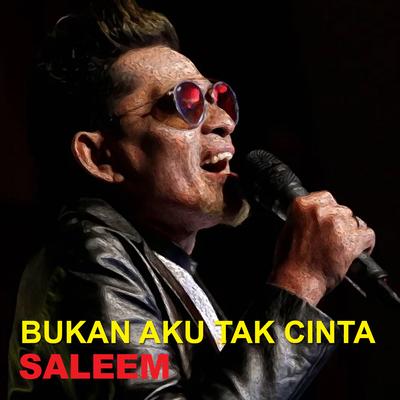 Bukan Aku Tak Cinta's cover