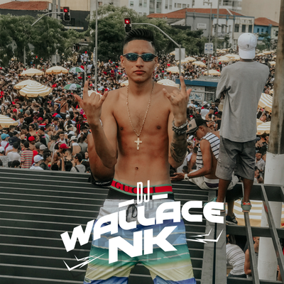 MEDLEY FINAL DE ANO By DJ Wallace NK, Mc Gw, DJ MOLCK, DJ Narru, DJ Grecco's cover