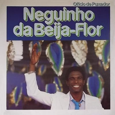 Problema Social By Neguinho da Beija-Flor's cover