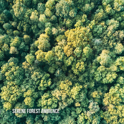 Forest Sounds FX's cover