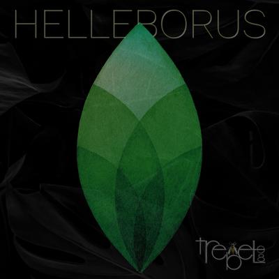 Helleborus By TreBell08's cover