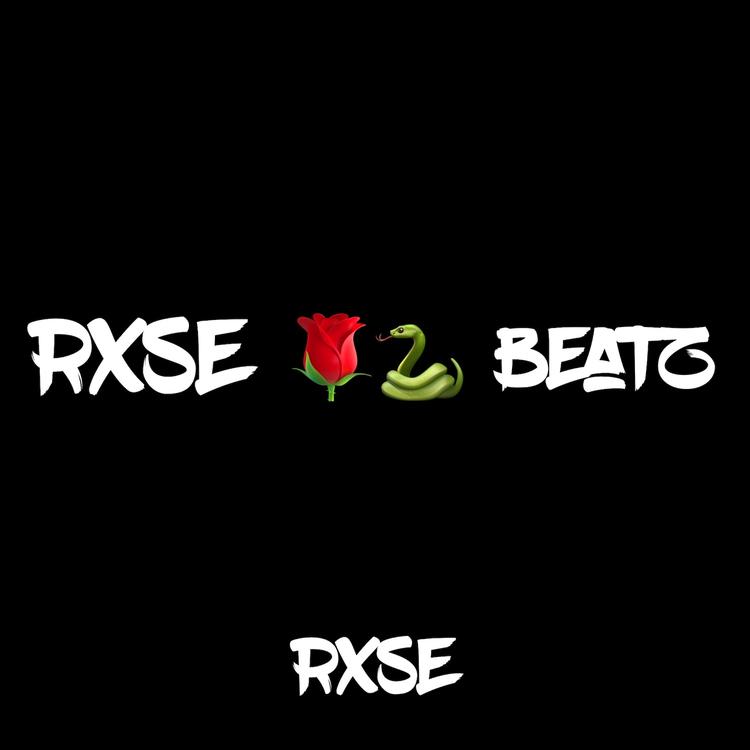 RXSE's avatar image