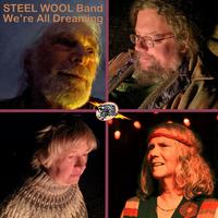 Steel Wool's avatar cover