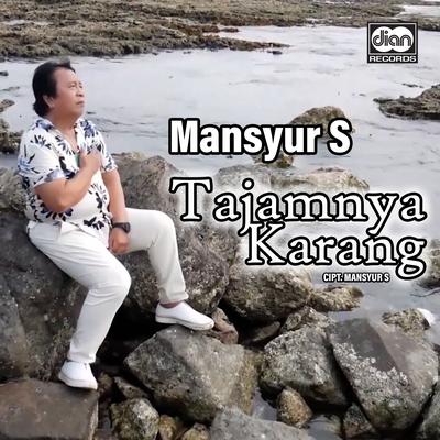 Tajamnya Karang By Mansyur S's cover