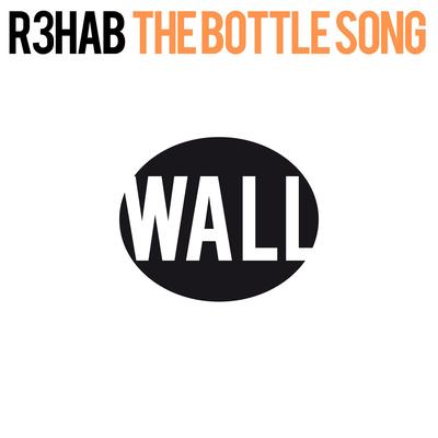 The Bottle Song By R3HAB's cover