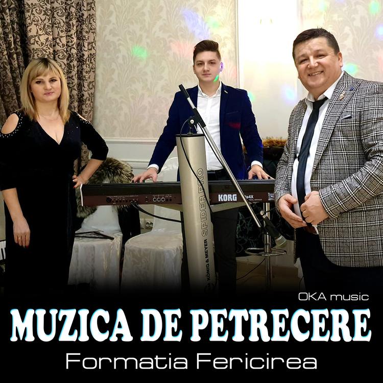 Formatia Fericirea's avatar image