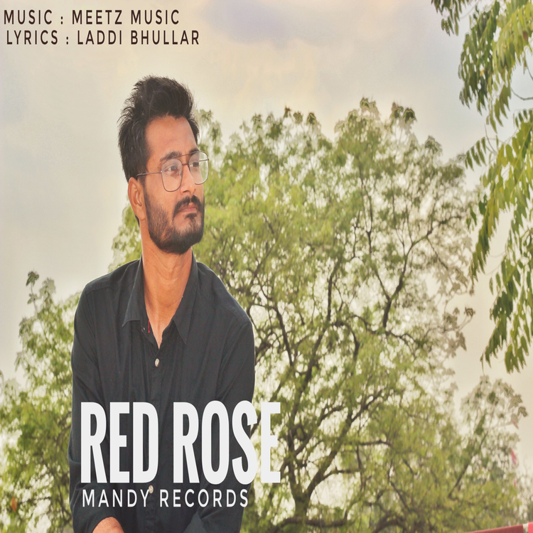 Mandy Records's avatar image