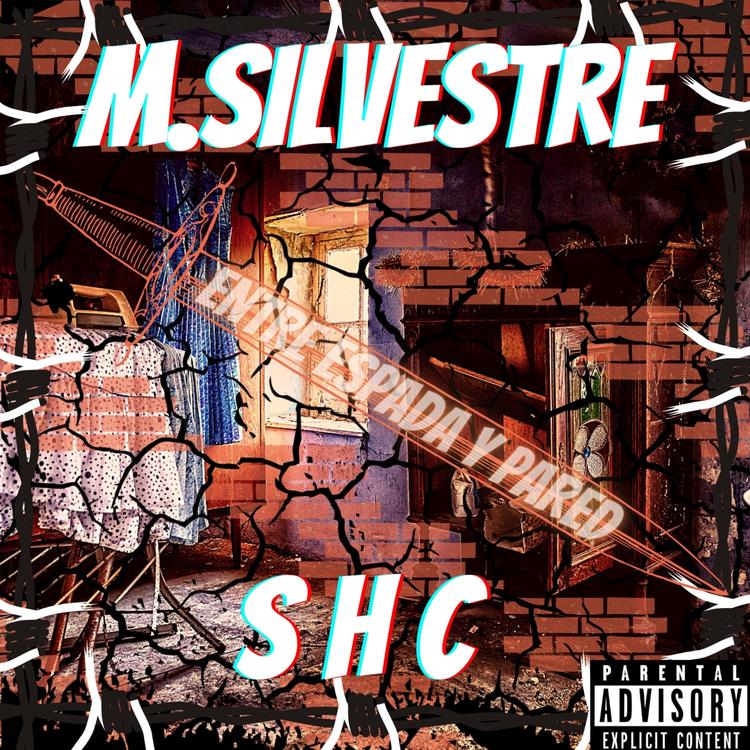 M. Silvestre's avatar image