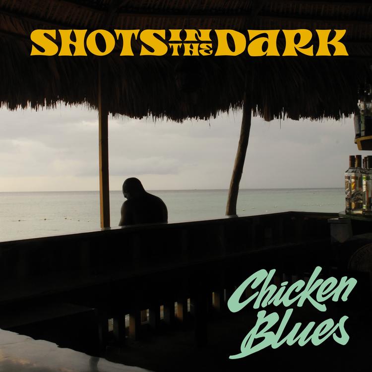 Shots In The Dark's avatar image