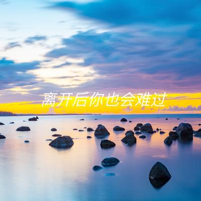 离开后你也会难过's cover