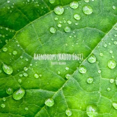 Raindrops (Radio Edit) By Peder B. Helland's cover