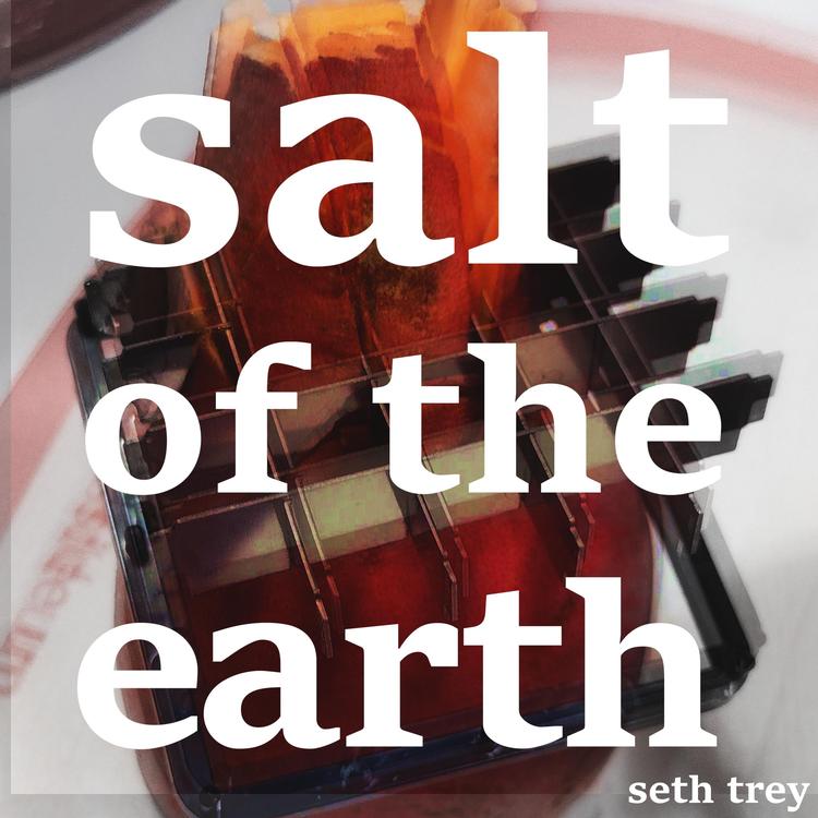 Seth Trey's avatar image