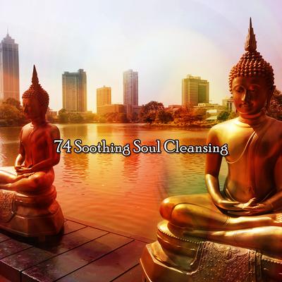 !!!! 74 Soothing Soul Cleansing !!!!'s cover