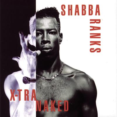 Ting-A-Ling By Shabba Ranks's cover