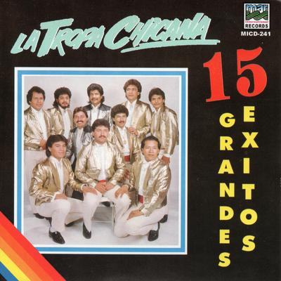 15 Grandes Exitos (Disco Completo)'s cover