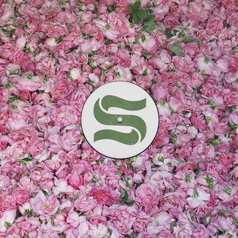 Flower Twitter Headers Tumblr