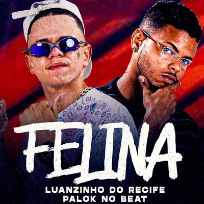 Felina By Luanzinho do Recife, Palok no Beat's cover