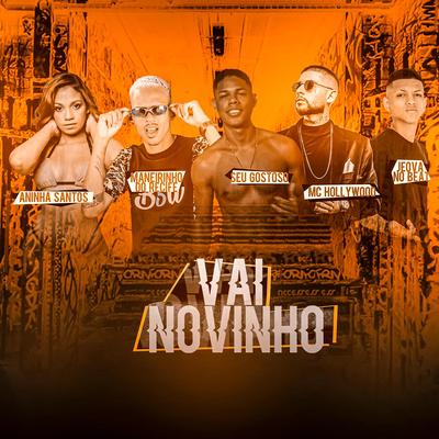 Vai Novinho's cover