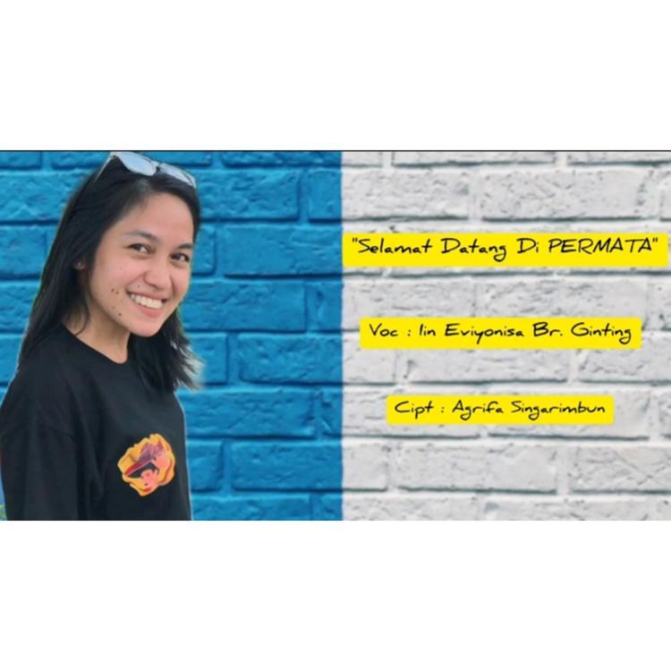 Iin Eviyonisa Br Ginting's avatar image