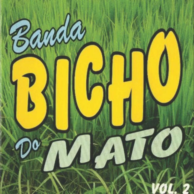 Banda Bicho do Mato's avatar image