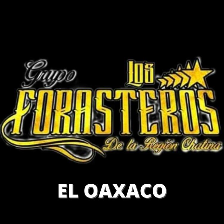 Grupo Los Forasteros de la Región Chatina's avatar image