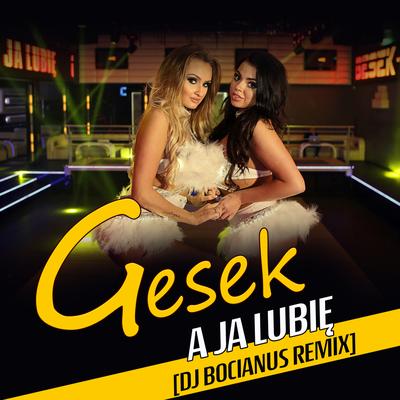 A Ja Lubię (DJ Bocianus Remix)'s cover