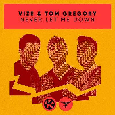 Never Let Me Down By VIZE, Tom Gregory's cover