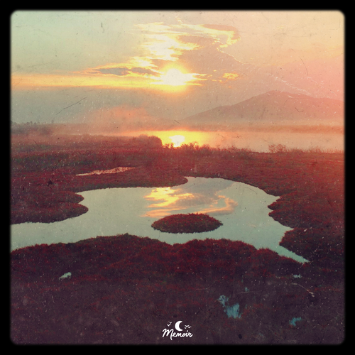 Sleepscapes - Soundscapes / Ambient / Drone | Sleep Music | Memoir Music 2020's cover