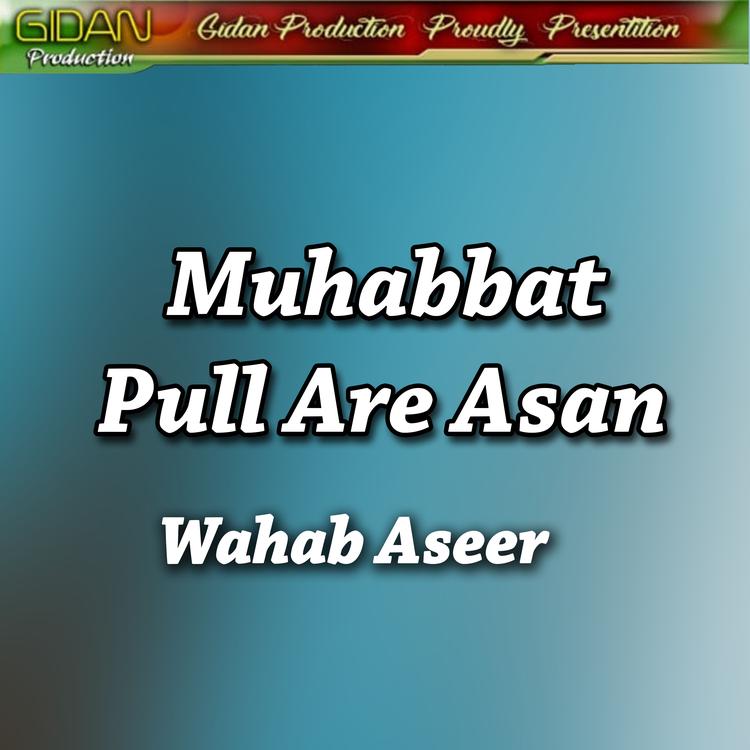 Wahab Aseer's avatar image