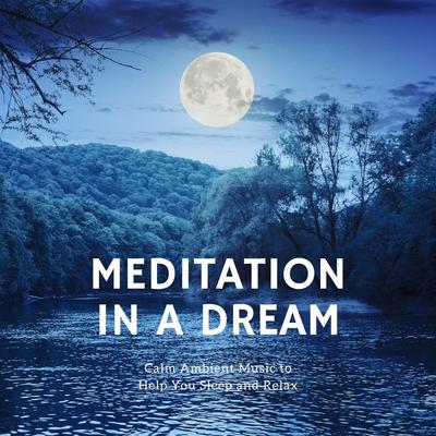 Meditation in a Dream: Calm Ambient Music to Help You Sleep and Relax's cover