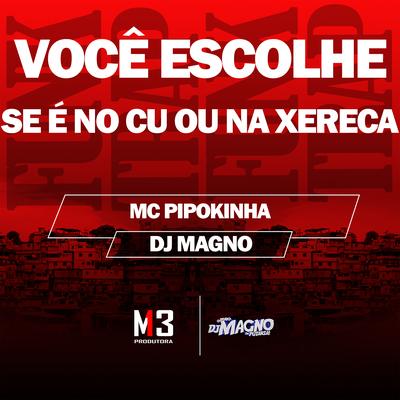 Você Escolhe Se É no Cu ou na Xereca By MC Pipokinha, DJ MAGNO's cover
