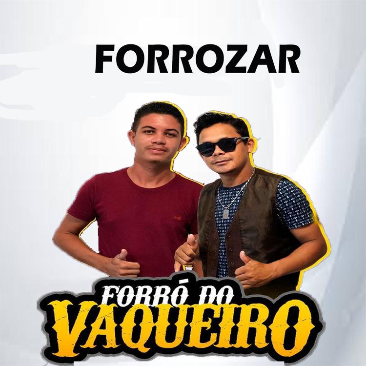 JOÃOZINHO F. DO VAQUEIRO's avatar image